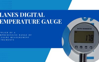 BLANES Digital Temperature Gauge